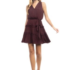 Naked Zebra Sash Tie Mini Dress